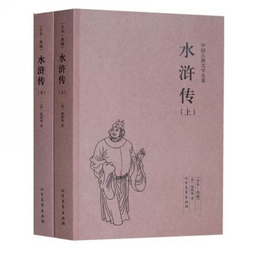 水浒传上下册 施耐庵的书 四大名著水浒传 古典小说经典 书籍水浒传