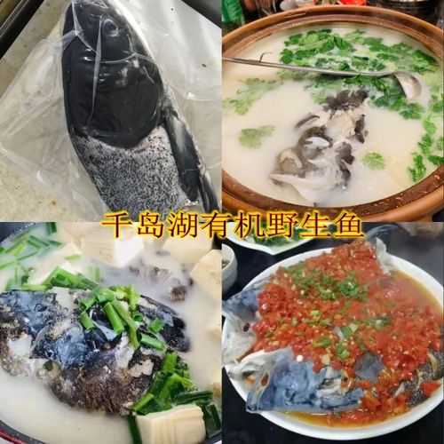 现杀保鲜千岛湖正宗活鱼鳙鱼新鲜大鱼头胖头鱼鲜活大头花鲢鲢鱼