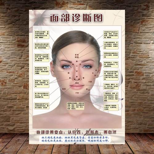 美容院面诊图宣传画海报脸部图解诊断中医养生面部反射区海报
