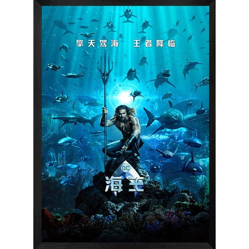 紫腾随轩原版经典电影海报装饰画复古怀旧带框壁画定制挂画 海王 35*