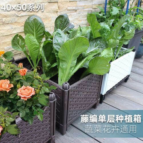 种植箱塑料盆种菜花盆菜盆蔬菜屋顶阳台户外庭院室外植物花槽花箱
