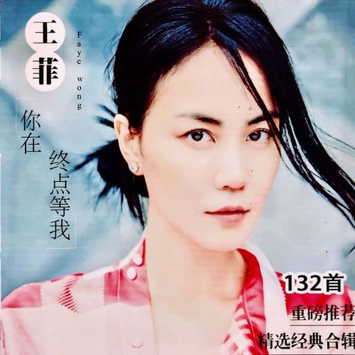 王菲歌曲u盘容易受伤的女人 红豆 传奇匆匆那年mp3经典音乐优盘