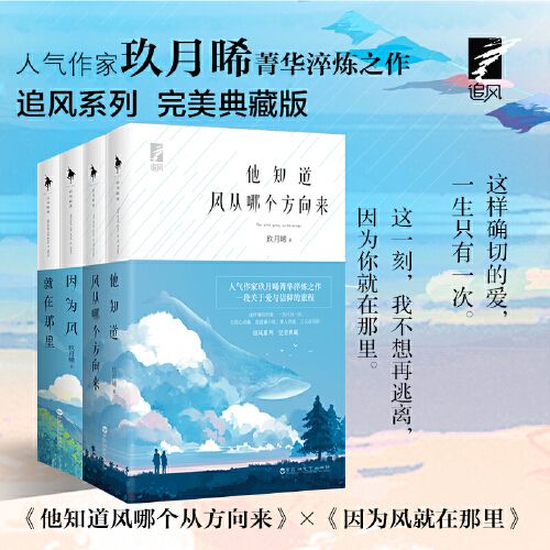 因为风就在那里【随书附赠海报 书签 纪念本】玖月晞追风系列套装4册