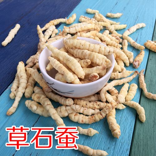 白虫草石蚕泽兰根肺痨草土冬虫草白虫草地参地蚕生泽兰草地蚕新鲜草