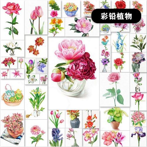 少儿创意彩铅美术风景静物临摹卡片范画手绘幼教美术图片素材彩铅