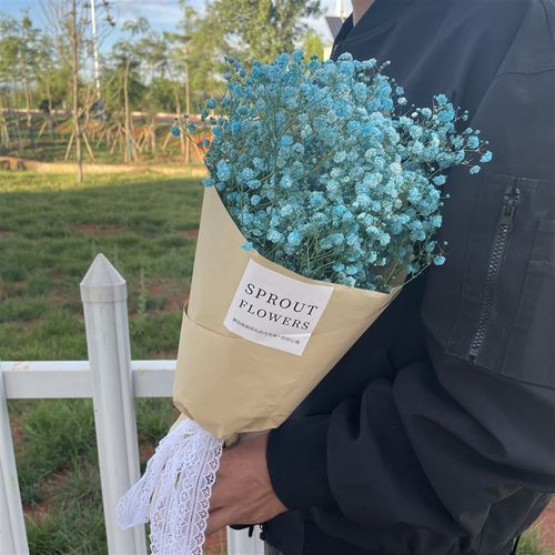 满天星玫瑰干花花束家居摆设复古森七拍j夕道具系照情人节教师送