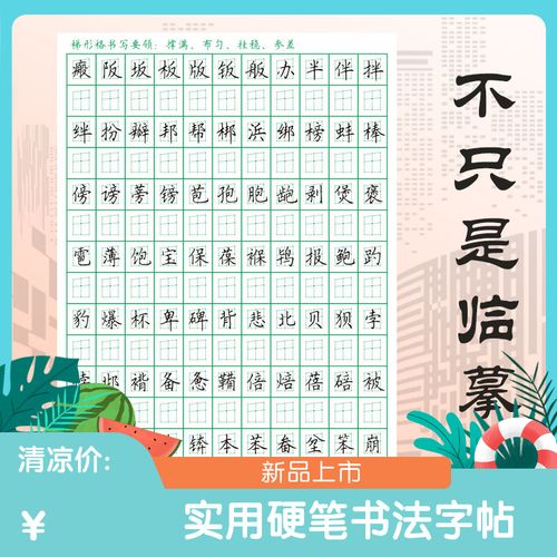 赵汝飞练字教材练字帖梯形格本写字本纸中学生成人正楷行书常用字
