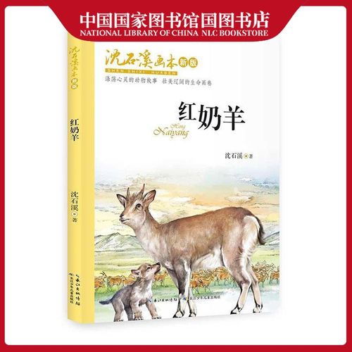 红奶羊新版沈石溪画本沈石溪童书9787556091102儿童小说中篇小说中国