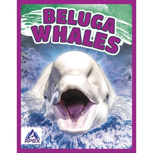 预订 giants of the sea: beluga whales [9781637380376]