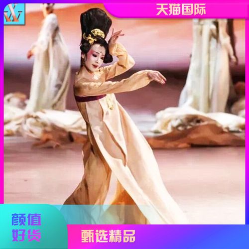中国舞丽人行舞蹈服装中国风古装舞蹈舞剧演出服盛世唐朝演出服装