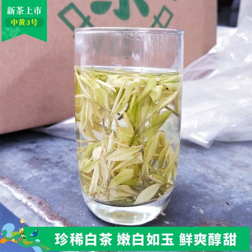 2022新茶珍稀白茶中黄3号黄金奶白茶极白明前千岛湖白茶绿茶半斤