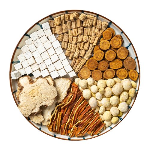 六君子汤非痰湿体质香砂六君子汤 【基础装10副】六君子汤原料