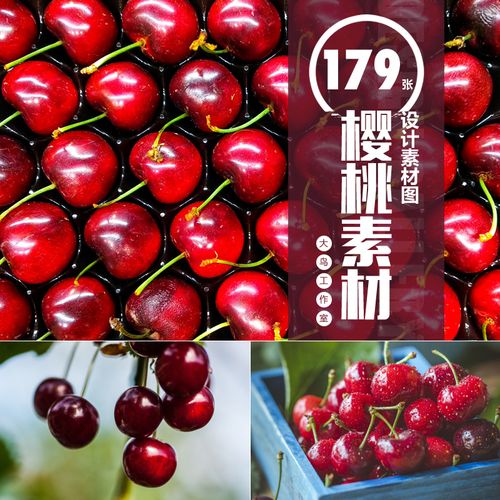 樱桃素材大图新鲜樱桃车厘子设计图片美味水果摄影图