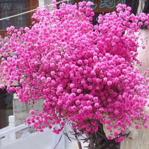 f情花节然束花瓶l摆件自然花香束干花包花带天人真