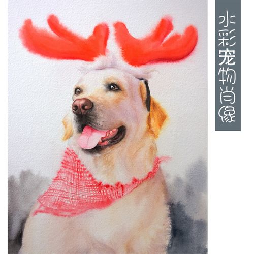 刘京水彩宠物猫咪狗狗画像纯手绘照片素描彩铅动物头像定制肖像画