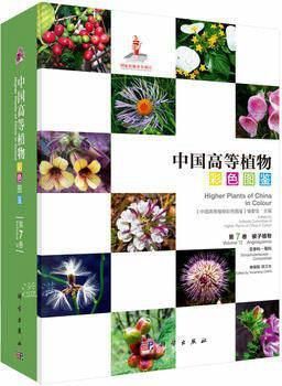 中国高等植物彩色图鉴第七卷被子植物玄参科菊科 陈又生著 科学出版社