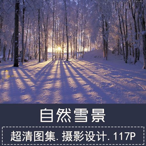 超高清图片冬季雪景摄影树林自然风景雪地白雪设计师美工合成素材