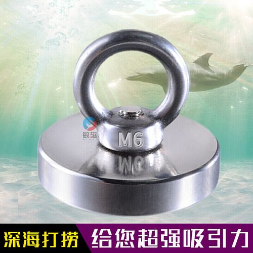 钕磁铁强磁王高强力打捞大号吸铁石圆形铷铁硼深海水 d25/拉力22斤