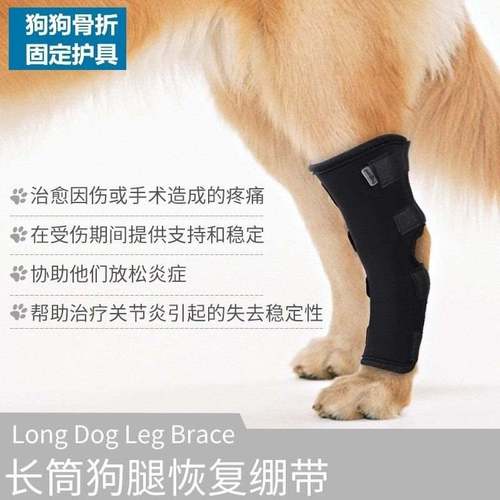 狗狗骨折固定护具狗狗前腿支架狗关节护膝宠物护腿狗骨折固定夹板