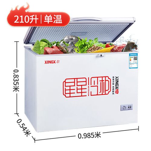 星星牌小冰柜冷柜 家用商用210升全冷冻单温冰柜全冷藏包邮到家