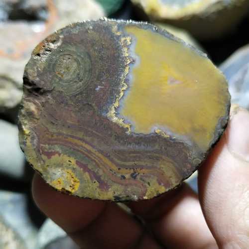 宣化战国红玛瑙原石切片鸡油黄天眼石明料摆件茶宠鱼缸石俏色雕刻