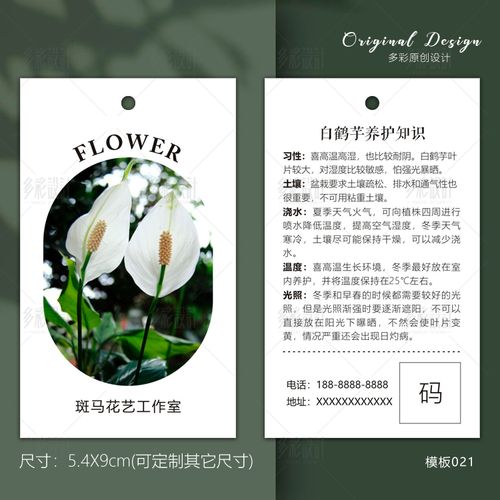 也门铁保养吊牌绿萝挂卡 碧玉养护卡片 绿植介绍卡片花卉标签防水