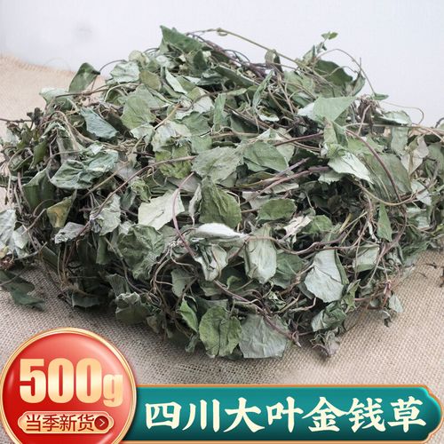 四川大叶金钱草干草药中药金前草中药材茶过路黄500克