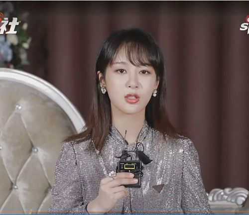 杨紫同款亮片长袖衬衫2022春装潮蝴蝶结修身显瘦女心理师明星上衣