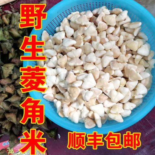 顺丰空运现摘野生菱角米小菱角洪湖新鲜四角菱角去壳野生老菱角米
