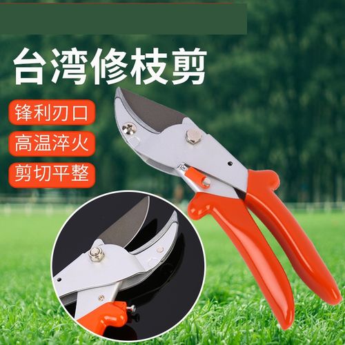 进口台湾修枝剪刀花木剪树枝剪园林花园工具修枝剪园艺修树剪