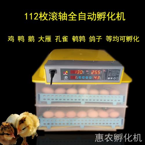 2021款自动卵化箱简单孵化器德州全自动孵化箱孵化器