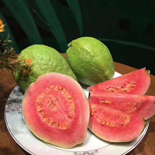 【香甜软糯】广西番石榴红心白心芭乐应季新鲜水果单果120-400g