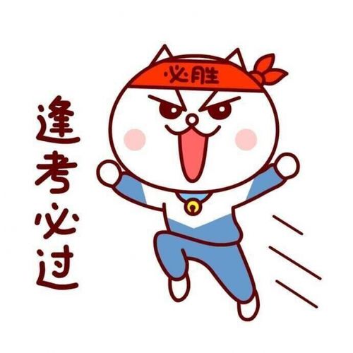 联系客服领取5元优惠券