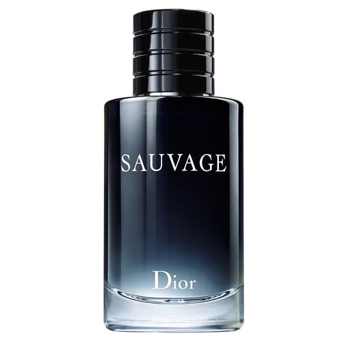dior迪奥 克丽丝汀迪奥旷野男士淡香水(100ml)