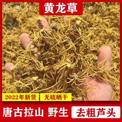 黄龙草250克 黄龙草根 雪山黄龙根 红龙须中药材店铺大全泡水茶