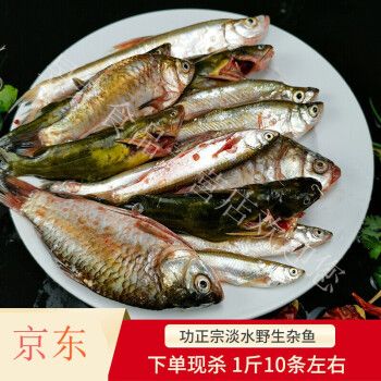 新鲜小鱼小杂鱼鲜活河鲜小河鱼杂鱼野外鲫鱼昂刺鱼餐条鱼淡水野鱼450g