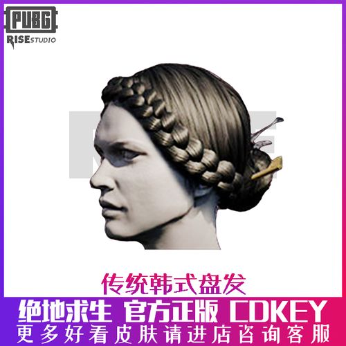 pubg 绝地求生 吃鸡端游 新月套装 传统韩式盘发型皮肤 cdk兑换码