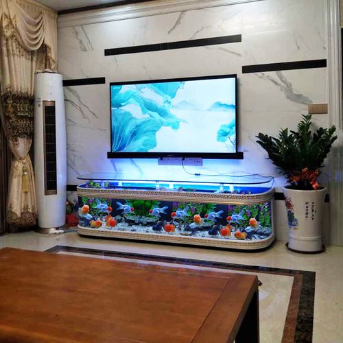 金点尚品欧式客厅家用电视柜鱼缸免换水鱼缸定制鱼缸水族箱支持各种