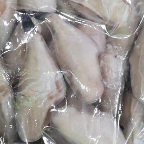 新鲜冷冻食品马面鱼剥皮鱼扒皮鱼耗儿毛重8斤50条左右近包邮