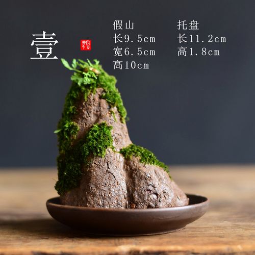 苔藓盆栽假山吸水石盆景水培青苔造景办公室桌面净化空气花盆摆件 [壹
