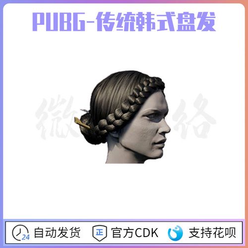 绝地求生pubg传统韩式盘发皮肤cdk新月发型头发金钗盘发steam吃鸡