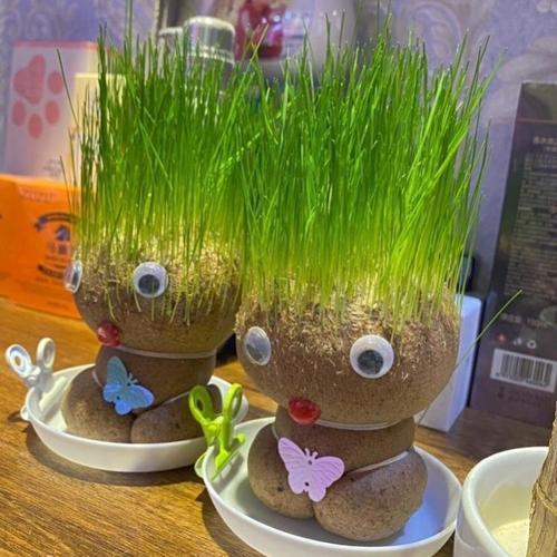 diy草头娃娃长草娃小盆栽室内好养小孩子的玩具手工制作生日礼物