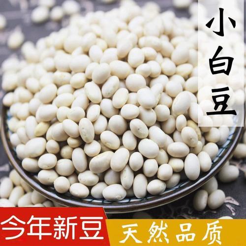 小白豆农家自产珍珠小白豆雪豆菜豆五谷杂粮白小豆弹子小白豆