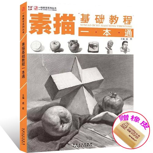 素描入门自学零基础书儿童成人素描绘画教材静物石膏几何体明暗结构