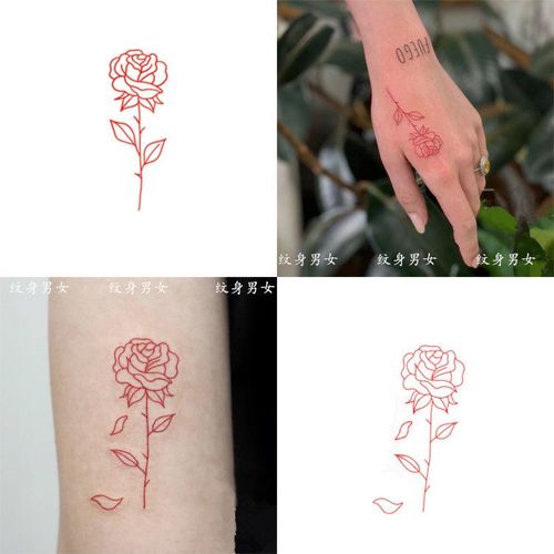 红色玫瑰花朵线条 手腕手臂纹身贴  防水