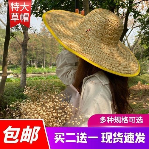 遮阳透气草帽草编帽采摘农村夏季工地休闲农用脸部编织盆帽圆顶
