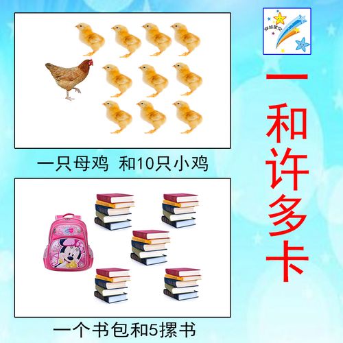 幼儿 童一个和许多 数量认识学习孤独症康复教具自闭