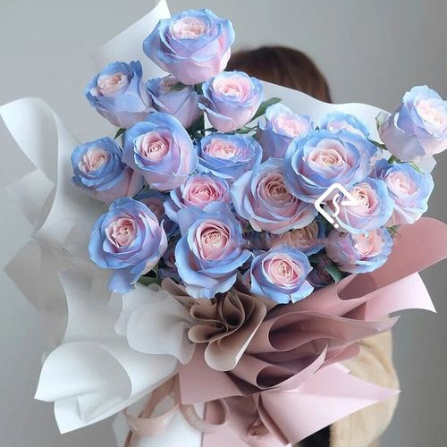 【两小时达】密西根碎冰蓝黑骑士玫瑰鲜花速递同城送北京上海广州深圳