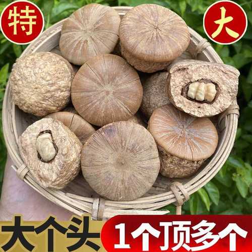 风流果野生500g补男肾掉藤果天竺粒龟头子厚鳞柯泡酒料壮家阴阳果