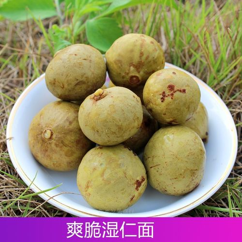 仁面果阳春特产阳江特产新鲜人面果腌制食爽脆酸辣湿仁面500